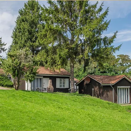 Bansin Seepferdchen 5