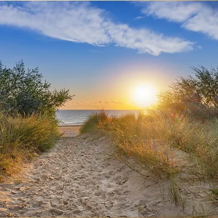 Bansin Seepferdchen 5 Ostseebad Heringsdorf