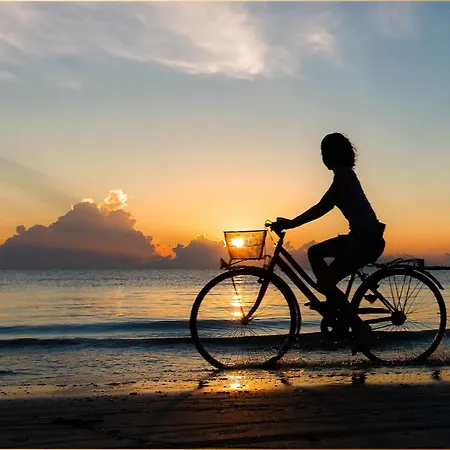 Bansin Seepferdchen 5