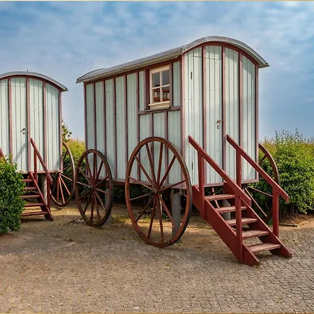 Bansin Seepferdchen 5 Ostseebad Heringsdorf